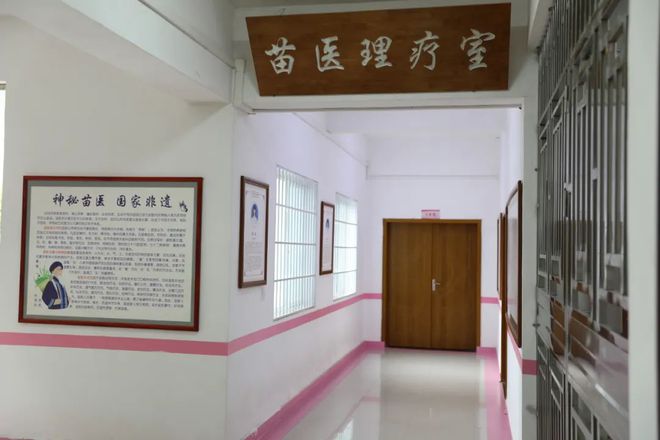 （苗医）戒毒工作框架探索戒毒康复辅助治疗新路径球王会经验聚焦 省黔东所搭建“1+2+3”中医(图4)